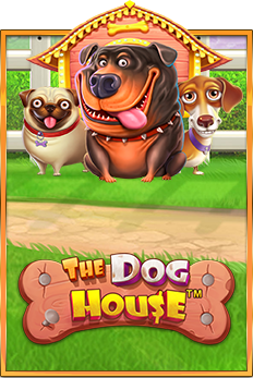 the dog house